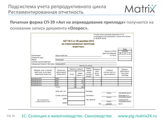 Стр. 16 www.pig.matrix24.ru1С: Селекция в животноводстве. Свиноводство
Подсистема учета репродуктивного цикла
Регламентированная отчетность
Печатная форма СП-39 «Акт на оприходование приплода» получается на
основании записи документа «Опорос».
 