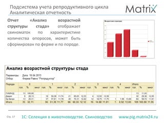 Стр. 17 www.pig.matrix24.ru1С: Селекция в животноводстве. Свиноводство
Отчет «Анализ возрастной
структуры стада» отображает
свиноматок по характеристике
количества опоросов, может быть
сформирован по ферме и по породе.
Подсистема учета репродуктивного цикла
Аналитическая отчетность
 