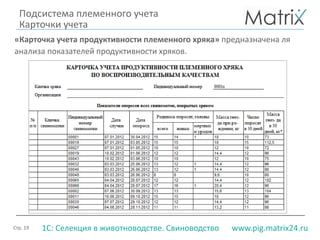 Стр. 19 www.pig.matrix24.ru1С: Селекция в животноводстве. Свиноводство
Подсистема племенного учета
Карточки учета
«Карточка учета продуктивности племенного хряка» предназначена ля
анализа показателей продуктивности хряков.
 
