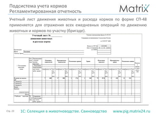 Стр. 23 www.pig.matrix24.ru1С: Селекция в животноводстве. Свиноводство
Учетный лист движения животных и расхода кормов по форме СП-48
применяется для отражения всех ежедневных операций по движению
животных и кормов по участку (бригаде).
Подсистема учета кормов
Регламентированная отчетность
 