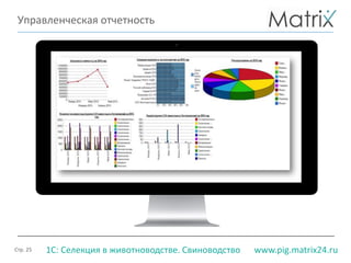 Стр. 25 www.pig.matrix24.ru1С: Селекция в животноводстве. Свиноводство
Управленческая отчетность
 