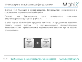 Стр. 26 www.pig.matrix24.ru1С: Селекция в животноводстве. Свиноводство
Система «1С: Селекция в животноводстве. Свиноводство» предназначена в
основном для ведения оперативного учета.
Поэтому для бухгалтерского учета используются отраслевые
специализированные решения фирмы 1С.
В этом случае возможности продуктов семейства 1С:Предприятие позволяют
создать единую систему с интегрированными функциональными
характеристиками превышающими характеристики программ при их простом
суммировании.
Интеграция с типовыми конфигурациями
 