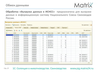 Стр. 27 www.pig.matrix24.ru1С: Селекция в животноводстве. Свиноводство
Обработка «Выгрузка данных в ИСНСС» предназначена для выгрузки
данных в информационную систему Национального Союза Свиноводов
России.
Обмен данными
 