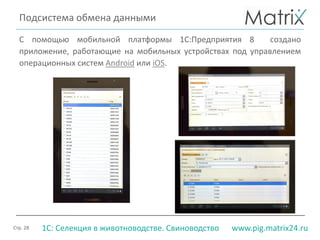 Стр. 28 www.pig.matrix24.ru1С: Селекция в животноводстве. Свиноводство
С помощью мобильной платформы 1С:Предприятия 8 создано
приложение, работающие на мобильных устройствах под управлением
операционных систем Android или iOS.
Подсистема обмена данными
 
