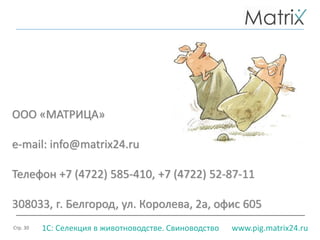 Стр. 30 www.pig.matrix24.ru1С: Селекция в животноводстве. Свиноводство
ООО «МАТРИЦА»
e-mail: info@matrix24.ru
Телефон +7 (4722) 585-410, +7 (4722) 52-87-11
308033, г. Белгород, ул. Королева, 2а, офис 605
 