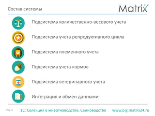 Стр. 5 www.pig.matrix24.ru1С: Селекция в животноводстве. Свиноводство
Подсистема количественно-весового учета
Подсистема учета репродуктивного цикла
Подсистема племенного учета
Подсистема учета кормов
Подсистема ветеринарного учета
Интеграция и обмен данными
Состав системы
 