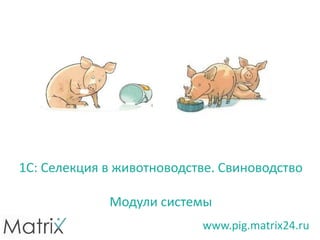 1С: Селекция в животноводстве. Свиноводство
Модули системы
www.pig.matrix24.ru
 