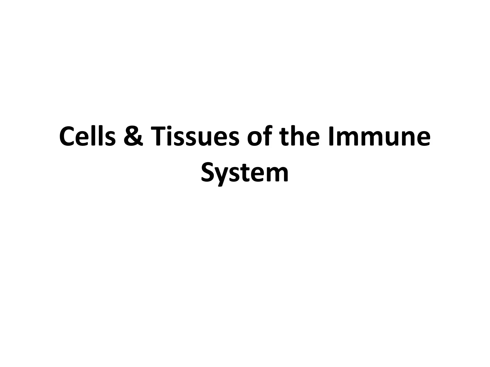 1c-cells-tissues-of-the-immune-system-ppt