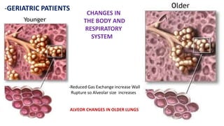 -GERIATRIC PATIENTS
CHANGES IN
THE BODY AND
RESPIRATORY
SYSTEM
-Reduced Gas Exchange increase Wall
Rupture so Alveolar size increases
ALVEOR CHANGES IN OLDER LUNGS
 