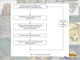 Atomic Energy
Authority of Egypt
 