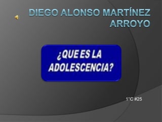 Diego Alonso Martínez Arroyo 1°C #25 