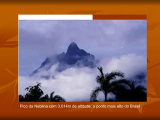 Pico da Neblina com 3.014m de altitude, o ponto mais alto do Brasil
 