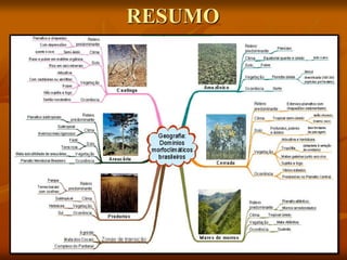 RESUMO
 
