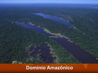Domínio Amazônico
 