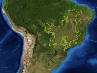 Comprehensive Overview of Brazil's Morfoclimatic Domains and Their ...