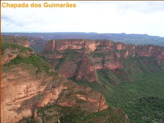 Comprehensive Overview of Brazil's Morfoclimatic Domains and Their ...