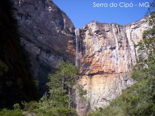 Comprehensive Overview of Brazil's Morfoclimatic Domains and Their ...