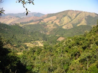 Comprehensive Overview of Brazil's Morfoclimatic Domains and Their ...