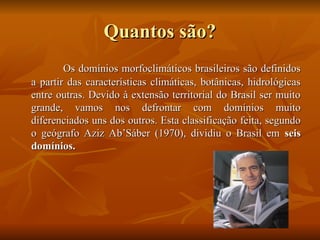 Comprehensive Overview of Brazil's Morfoclimatic Domains and Their ...