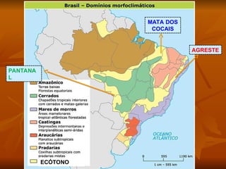 Comprehensive Overview of Brazil's Morfoclimatic Domains and Their ...