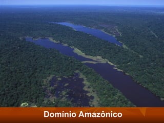 Comprehensive Overview of Brazil's Morfoclimatic Domains and Their ...