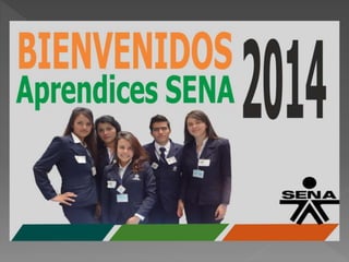 Reglamento aprendiz sena