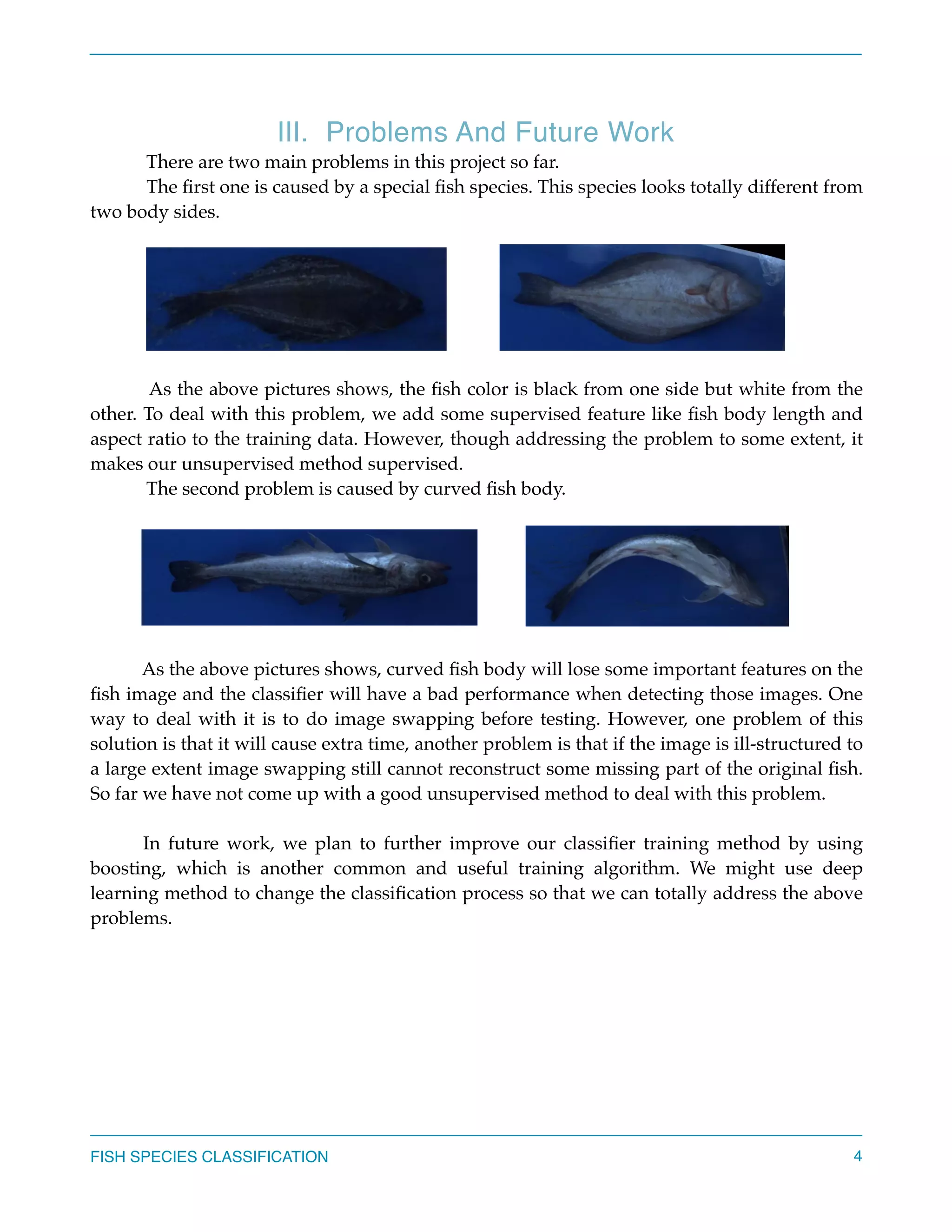 Ⅲ. Problems And Future Work
There are two main problems in this project so far.
The ﬁrst one is caused by a special ﬁsh species. This species looks totally different from
two body sides.
As the above pictures shows, the ﬁsh color is black from one side but white from the
other. To deal with this problem, we add some supervised feature like ﬁsh body length and
aspect ratio to the training data. However, though addressing the problem to some extent, it
makes our unsupervised method supervised.
The second problem is caused by curved ﬁsh body.
As the above pictures shows, curved ﬁsh body will lose some important features on the
ﬁsh image and the classiﬁer will have a bad performance when detecting those images. One
way to deal with it is to do image swapping before testing. However, one problem of this
solution is that it will cause extra time, another problem is that if the image is ill-structured to
a large extent image swapping still cannot reconstruct some missing part of the original ﬁsh.
So far we have not come up with a good unsupervised method to deal with this problem.
In future work, we plan to further improve our classiﬁer training method by using
boosting, which is another common and useful training algorithm. We might use deep
learning method to change the classiﬁcation process so that we can totally address the above
problems. 
FISH SPECIES CLASSIFICATION 4
 