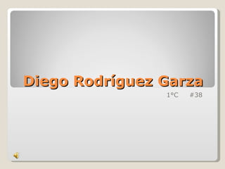 Diego Rodríguez Garza  1°C  #38  