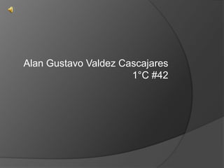 Alan Gustavo Valdez Cascajares 1°C #42 