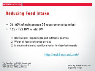 Reducing Feed Intake
• 70 - 90% of maintenance DE requirements (calories)
• 1.25 - 1.5% BW in total DMI
1) Body weight, requirements, and nutritional analysis
2) Weigh all feeds consumed per day
3) Maintain a balanced nutritional ration for vitamins/minerals
Van Weyenberg et al. 2008; Dugdale et al.
2010; Argo et al. 2012; McGowan et al.
2013; Gill et al. 2015 (unpublished)
http://nrc88.nas.edu/nrh/
DMI: dry matter intake; DE:
digestible energy
 