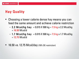 Hay Quality
• Choosing a lower calorie dense hay means you can
feed the same amount and achieve calorie restriction
– 2.2 Mcal/kg hay = 0.015 X 500 kg = 7.5 kg x 2.2 Mcal/kg
= 16.50 Mcal/d
– 1.7 Mcal/kg hay = 0.015 X 500 kg = 7.5 kg x 1.7 Mcal/kg
= 12.75 Mcal/d
• 16.50 vs. 12.75 Mcal/day (78% DE restriction)
 