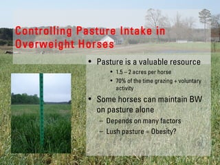 Controlling Pasture Intake in
Overweight Horses
• Pasture is a valuable resource
• 1.5 – 2 acres per horse
• 70% of the time grazing + voluntary
activity
• Some horses can maintain BW
on pasture alone
– Depends on many factors
– Lush pasture = Obesity?
 