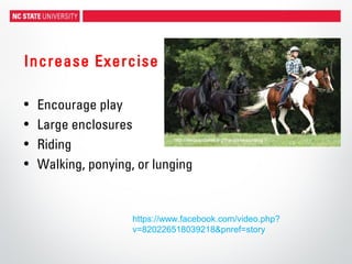 Increase Exercise
• Encourage play
• Large enclosures
• Riding
• Walking, ponying, or lunging
https://www.facebook.com/video.php?
v=820226518039218&pnref=story
http://4legsandatail.org/the-art-of-ponying
 
