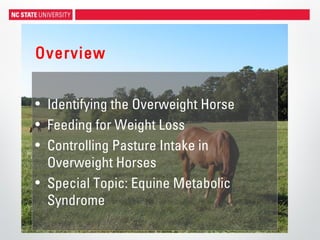 Overview
• Identifying the Overweight Horse
• Feeding for Weight Loss
• Controlling Pasture Intake in
Overweight Horses
• Special Topic: Equine Metabolic
Syndrome
 