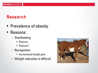 Research
• Prevalence of obesity
• Reasons:
– Overfeeding
• Choices
• Pasture?
– Recognition
• Incremental weight gain
– Weight reduction is difficult
 
