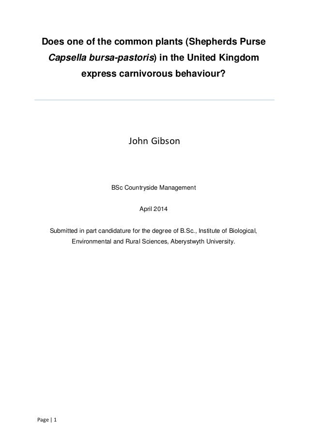 Countryside management dissertation