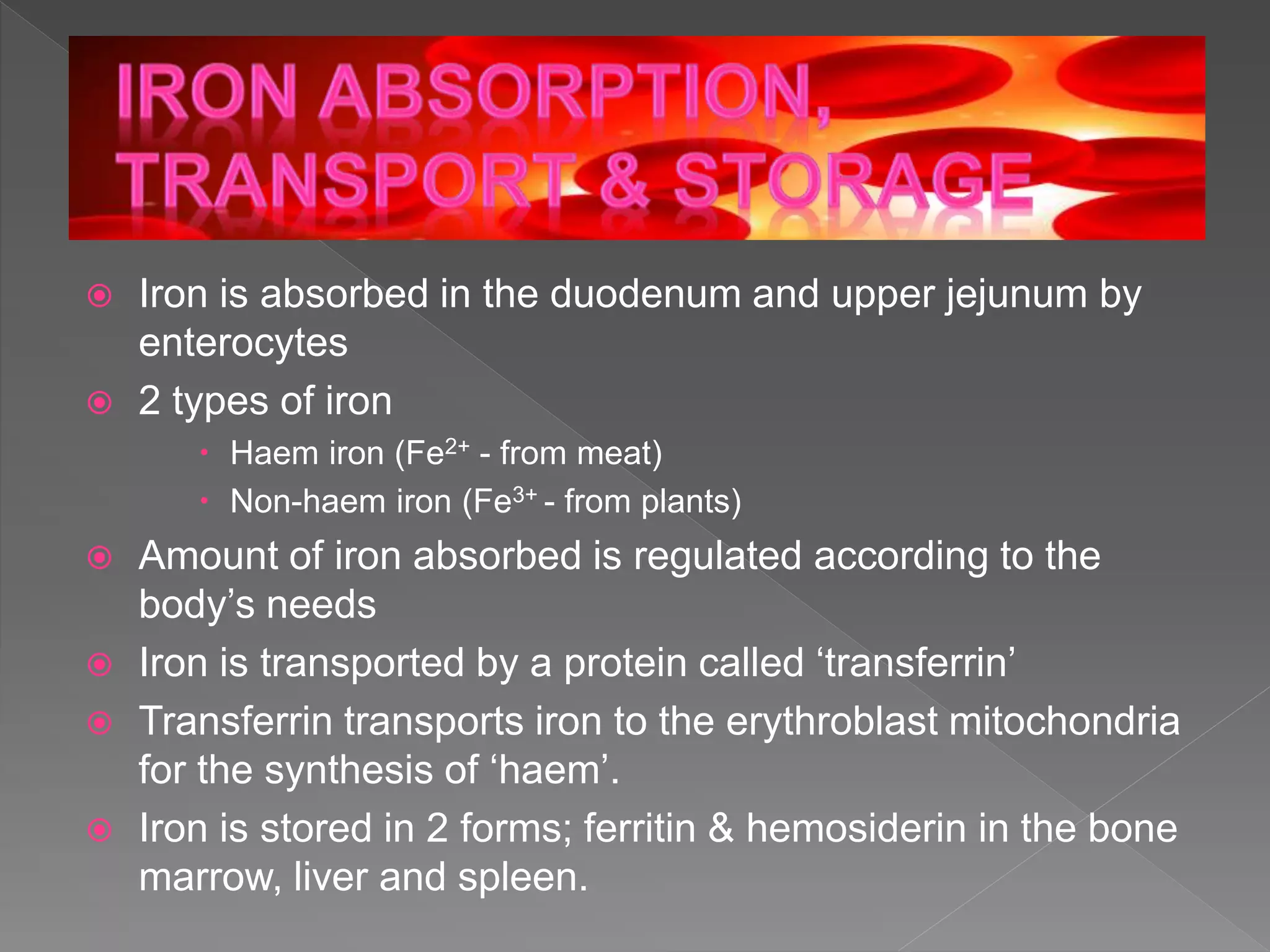  Iron is absorbed in the duodenum and upper jejunum by
enterocytes
 2 types of iron
 Haem iron (Fe2+ - from meat)
 Non-haem iron (Fe3+ - from plants)
 Amount of iron absorbed is regulated according to the
body’s needs
 Iron is transported by a protein called ‘transferrin’
 Transferrin transports iron to the erythroblast mitochondria
for the synthesis of ‘haem’.
 Iron is stored in 2 forms; ferritin & hemosiderin in the bone
marrow, liver and spleen.
 