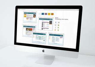 portfolio_mr_div_graphic