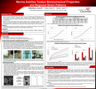 Kallenbach, Jacob G.1 ; Gilday, Steve D.1 ; Shearn, Jason T.1
INTRODUCTION RESULTS
METHODS
1Biomedical Engineering, University of Cincinnati, Cincinnati, OH, USA
Murine Achilles Tendon Biomechanical Properties
and Regional Strain Patterns
• Injuries involving the Achilles tendon (AT) occur in 5.5 to 10 individuals per 100,000 each year in
North America resulting in significant pain, discomfort, and disability[4]. Elucidating the
mechanisms of injury and healing process behind many treatments and rehabilitation protocols
is inconclusive[1].
• Because current clinical tests cannot evaluate Achilles tendon mechanical properties in vivo,
there is vast clinical importance of utilizing methods to test the Achilles tendon at normal
physiological levels in diseased and injured animal models through fatigue and failure loading.
Objective
• Understand the mechanical properties of healthy murine Achilles tendon tissues in order to relate
to structural changes seen before injury, during healing, and after injury.
Hypothesis
• Normal, un-operated murine Achilles tendons will exhibit significant regional variations in
tissue strain.
DISCUSSION
1. The purpose of this study was to characterize native adult murine Achilles tendon mechanical and structural
properties by designing and validating a repeatable testing mechanism and analysis method. Regional strain
variations were found to be statistically different between insertion, distal midsubstance and proximal midsubstance in
the murine strain C57BL/6J AT.
2. At peak in vivo forces seen in rabbit patellar tendon[5] and in goat patellar tendon[6], insertional strain in the murine
Achilles tendon is significantly greater than both distal and proximal midsubstances. Increased strain at the insertional
AT is clinically important in AT injuries as it may lead to insertional AT tendinopathy, which is a chronic condition
causing pain, impairment, and swelling at the insertion[3].
3. Future work will focus this testing and analysis protocol on various mutant mouse models, who have missing tendon
specific transcription factors, to observe the biomechanical response and regional strain variations in an injury model.
REFERENCES
[1] Freedman BR. J Biomech. 2014. [2] Dyment NA. Journal of Orthopaedic Research. 2012. [3] Hu CT. Operative Techniques in Orthopaedics. 2008. [4]
Suchak AA. Foot and Ankle International. 2005. [5] Juncosa N. J Biomech. 2003. [6] Korvick DL. J Biomech. 1996.
ACKNOWLEDGEMENTS
I thank Dr. Christy Holland, Dr. Daria Narmoneva, and Cindi Gooch for their technical assistance and Jessica Arble for moral support.
50μm
C57BL/6J AT Average Structural and Material Curves
Figure 3: Average murine AT Structural and Material Curves. Average curve of Load vs. Displacement (A). Average stress-strain curve for normal murine
Achilles tendons (B). Error bars indicate standard error margin (SEM); n=12.
Animal model
• Adult C57BL/6J male mice at 18-20 week old (n=12, Fig 1).
• Mice displayed normal tendon morphology with before dissection (Fig 1).
Achilles Tendon Dissection and Biomechanical Testing
• After examining the gross morphological appearance, the murine AT was isolated by dissecting
away the tibia, fibula, tarsal, and metatarsal bones leaving the calcaneus bone intact (Fig 1A,B).
After removal of the gastrocnemius musculature, the calcaneus and AT whole sample was
secured and mounted in a materials testing system (100R Test Resources).
• Once mounted, tendons were submerged in 37C phosphate buffered saline and preloaded to
0.02N. Samples were preconditioned at 25 cycles, 0-1% strain, 3 microns/sec, and failed in
uniaxial tension at a rate of 3 microns/sec [2] while recording displacement and load (Fig 1C,D).
Figure 1: Murine Achilles Tendon Dissection and Experimental Setup. Male murine Achilles Tendon (The Jackson Laboratory)
(A). Murine Achilles tendon total length (B). Grip to grip mounting of AT with calcaneus embedded in bottom grip (C). Materials
testing system full experimental setup (D).
Optical Strain Analysis
• After dissection and before mounting, 6-0 silk suture saturated in Verhoeff’s stain was used to
create two local strain marks on the AT 1/3 the total distance up from the calcaneus and a
second 2/3 of the total distance up from the calcaneus (Fig 2A).
• Once mounted, high resolution digital images were taken in the sagittal and frontal planes to
calculate initial AT dimensions. Images of the posterior surface of the AT were captured at 5
second intervals throughout the failure test to optically measure regional tissue strains and
assess failure location (Fig 2B-D).
• Regional tissue strains were computed by optically tracking applied stain lines for each
specimen using the MTrack2 plugin for ImageJ (Fig 2B-D). Raw displacement data was utilized
to calculate and plot tensile strain in the insertion, distal midsubstance, and proximal
midsubstance as a function of load.
Figure 2: Optical Strain Analysis. Achilles tendon specimens were marked with two stain lines and loaded into the tensile testing system
(A). Local tissue strain is calculated utilizing with high resolution images (B). Thresholded 8-bit binary grayscale image of centroid (C).
Frame by frame displacement of centroid paths tracked by MTrack2 plugin for ImageJ (D).
C57BL/6J AT Regional Strain Outcomes in Murine Achilles Tendons
Figure 4: Regional Strain Variations. Normal murine Achilles tendons exhibited distinct regional variations in tissue strain at all levels greater than 0.25N. At
failure, insertion reached a maximum strain of 49.21% +/- 7.15 (mean+/-SEM) compared to both distal 10.18% +/- 5.25 and proximal 39.82% +/- 7.35
midsubstances (A). At 21% and 40% of normal AT failure force, normal tendons showed increased local strain in the insertion region compared to both distal
and proximal midsubstances (B). Curves represent average of 12 specimens; error bars indicate SEM and statistical significance * p<0.05.
A CB D
{
{
{Proximal
Midsubstance
Distal
Midsubstance
Insertion
Calcaneus
A DCB
0
10
20
30
40
50
60
0 1 2 3 4 5 6 7
OpticalStrain(%)
Load (N)
Insertion
Distal Midsubstance
Proximal Midsubstance
*
*
* *
* *
* * * * * * * * *
* * * * * * * * *
0
10
20
30
40
50
60
21% of Failure Load 40% of Failure Load 100% of Failure Load
OpticalStrain(%)
Insertion
Distal Midsubstance
Proximal Midsubstance
*
*
*
*
*
0
2
4
6
8
10
0 0.5 1 1.5 2
Load(N)
Grip-to-Grip Displacement (mm)
C57BL6
0
2
4
6
8
10
0 4 8 12 16 20 24 28 32
Stress(MPa)
Strain (%)
C57BL6
AT
DISSECTION
TENDON MOUNTED IN
SYSTEM
FROM FAILURE TEST
Age (wk)
Length
(mm)
Avg CSA
(mm^2)
Ult Load (N)
Stiffness
(N/mm)
Disp at Ult
Load (mm)
Ult Stress
(MPa)
Modulus
(MPa)
% Strain at Ult
Stress
Mean 19.250 5.312 0.819 7.194 10.640 1.610 9.082 74.095 30.501
SD 0.783 0.444 0.172 0.946 3.713 0.436 1.880 40.320 8.219
SEM 0.226 0.128 0.050 0.273 1.072 0.126 0.543 11.639 2.373
Table 1: Average Mouse AT Data. Average structural and material properties of normal mouse AT (n=12).
C57BL/6J AT Specimen Structural and Material Average Data
A B
*
 