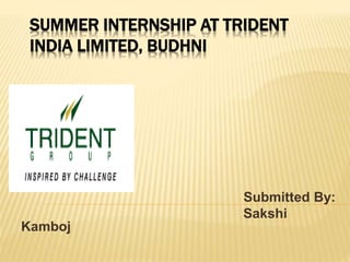 SUMMER INTERNSHIP AT TRIDENT
INDIA LIMITED, BUDHNI
Submitted By:
Sakshi
Kamboj
 