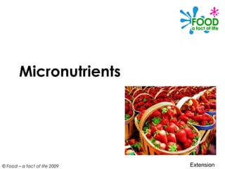 © Food – a fact of life 2009
Micronutrients
Extension
 