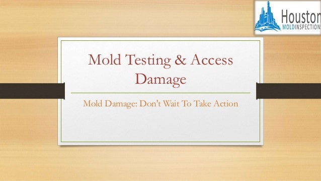 Mold Testing & Access
Damage
Mold Damage: Don't Wait To Take Action
 