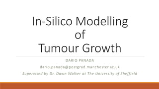 In-Silico Modelling
of
Tumour Growth
DARIO PANADA
dario.panada@postgrad.manchester.ac.uk
Supervised by Dr. Dawn Walker at The University of Sheffield
 