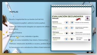 SEMIOLOGÍA de Cabeza y Cuello completo.. | PPTX