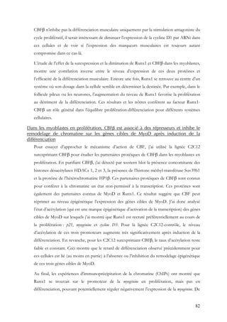 82
CBFβ n’inhibe pas la différenciation musculaire uniquement par la stimulation antagoniste du
cycle prolifératif, il serait intéressant de diminuer l’expression de la cycline D1 par ARNi dans
ces cellules et de voir si l’expression des marqueurs musculaires est toujours autant
compromise dans ce cas-là.
L’étude de l’effet de la surexpression et la diminution de Runx1 et CBFβ dans les myoblastes,
montre une corrélation inverse entre le niveau d’expression de ces deux protéines et
l’efficacité de la différenciation musculaire. Encore une fois, Runx1 se retrouve au centre d’un
système où son dosage dans la cellule semble en déterminer la destinée. Par exemple, dans le
follicule pileux ou les neurones, l’augmentation du niveau de Runx1 favorise la prolifération
au détriment de la différenciation. Ces résultats et les nôtres confèrent au facteur Runx1-
CBFβ un rôle général dans l’équilibre prolifération-différenciation pour différents systèmes
cellulaires.
Dans les myoblastes en prolifération, CBFβ est associé à des répresseurs et inhibe le
remodelage de chromatine sur les gènes cibles de MyoD après induction de la
différenciation
Pour essayer d’approcher le mécanisme d’action de CBF, j’ai utilisé la lignée C2C12
surexprimant CBFβ pour étudier les partenaires protéiques de CBFβ dans les myoblastes en
prolifération. En purifiant CBFβ, j’ai détecté par western blot la présence concomitante des
histones désacétylases HDACs 1, 2 et 3, la présence de l’histone méthyl-transférase Suv39h1
et la protéine de l’hétérochromatine HP1β. Ces partenaires protéiques de CBFβ sont connus
pour conférer à la chromatine un état non-permissif à la transcription. Ces protéines sont
également des partenaires connus de MyoD et Runx1. Ce résultat suggère que CBF peut
réprimer au niveau épigénétique l’expression des gènes cibles de MyoD. J’ai donc analysé
l’état d’acétylation (qui est une marque épigénétique d’activation de la transcription) des gènes
cibles de MyoD sur lesquels j’ai montré que Runx1 est recruté préférentiellement au cours de
la prolifération : p21, myogénine et cycline D3. Pour la lignée C2C12-contrôle, le niveau
d’acétylation de ces trois promoteurs augmente très significativement après induction de la
différenciation. En revanche, pour les C2C12 surexprimant CBFβ, le taux d’acétylation reste
faible et constant. Ceci montre que le retard de différenciation observé précédemment pour
ces cellules est lié (au moins en partie) à l’absence ou l’inhibition du remodelage épigénétique
de ces trois gènes cibles de MyoD.
Au final, les expériences d’immunoprécipitation de la chromatine (ChIPs) ont montré que
Runx1 se trouvait sur le promoteur de la myogénine en prolifération, mais pas en
différenciation, pouvant potentiellement réguler négativement l’expression de la myogénine. De
 
