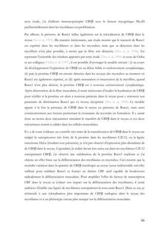 86
mon étude, j’ai d’ailleurs immunoprécipité CBFβ avec le facteur myogénique MyoD
préférentiellement dans les myoblastes en prolifération.
Par ailleurs, la présence de Runx1 influe également sur la relocalisation de CBFβ dans le
noyau (Lu et al, 1995). De manière intéressante, une étude montre que le transcrit de Runx1
est exprimé dans les myoblastes et dans les myotubes, mais que sa détection dans les
myofibres n’est plus possible, à moins que la fibre soit dénervée (Zhu et al, 1994). En
reprenant l’ensemble des résultats apportés par cette étude (Zhu et al, 1994) et ceux de Chiba
et ses collègues (Chiba et al, 1997), il est possible d’envisager le modèle suivant : (i) au cours
du développement l’expression de CBFβ est au début faible et exclusivement cytoplasmique,
(ii) puis la protéine CBFβ est ensuite détectée dans les noyaux des myotubes au moment où
Runx1 est également exprimé, et (iii) après maturation et innervation de la myofibre, quand
Runx1 n’est plus détecté, la protéine CBFβ est à nouveau exclusivement cytoplasmique.
Après dénervation de la fibre musculaire, il serait intéressant d’étudier la localisation de CBFβ
pour vérifier si la protéine est alors à nouveau présente dans le noyau pour y retrouver son
partenaire de dimérisation Runx1 qui s’y trouve réexprimé (Zhu et al, 1994). Ce modèle
appuie à la fois la présence de CBFβ dans le noyau en présence de Runx1, mais aussi
consécutivement aux fusions permettant la croissance du myotube en formation. Il y aurait
donc au moins deux mécanismes stimulant le transfert de CBFβ dans le noyau et ces deux
mécanismes restent à valider dans les cellules musculaires.
Il y a de toute évidence un contrôle très strict de la transclocation de CBFβ dans le noyau car
malgré la surexpression très forte de la protéine dans les myoblastes C2C12, ou la lignée
cancéreuse HeLa (résultats non présentés), je n’ai pas observé d’expression plus abondante de
de CBFβ dans le noyau. Cependant, la réalité devait être autre car dans les myoblastes C2C12
surexprimant CBFβ, j’ai observé une stabilisation de la protéine Runx1 nucléaire et j’ai
obtenu un effet franc sur la différenciation des myoblastes en myotubes. Ceci montre que la
moindre variation dans la quantité de CBFβ transloqué au noyau (aussi indétectable soit-elle)
suffirait pour stabiliser Runx1 et former un dimère CBF actif capable de bouleverser
radicalement la différenciation musculaire. Pour amplifier l’effet du facteur de transcription
CBF dans le noyau et évaluer son impact sur la différenciation des myoblastes, il serait
judicieux d’établir une lignée de myoblastes surexprimant la sous-unité Runx1. Dans ce cas, je
m’attends à une relocalisation plus importante de CBFβ endogène dans le noyau des
myoblastes et à un phénotype encore plus marqué sur la différenciation musculaire.
 