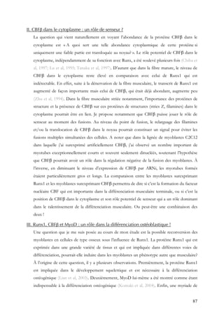 87
II. CBFβ dans le cytoplasme : un rôle de senseur ?
La question qui vient naturellement en voyant l’abondance de la protéine CBFβ dans le
cytoplasme est « A quoi sert une telle abondance cytoplasmique de cette protéine si
uniquement une faible partie est transloquée au noyau? ». Le rôle potentiel de CBFβ dans le
cytoplasme, indépendamment de sa fonction avec Runx, a été soulevé plusieurs fois (Chiba et
al, 1997; Lu et al, 1995; Tanaka et al, 1997). D’autant que dans la fibre mature, le niveau de
CBFβ dans le cytoplasme reste élevé en comparaison avec celui de Runx1 qui est
indétectable. En effet, suite à la dénervation de la fibre musculaire, le transcrit de Runx1 est
augmenté de façon importante mais celui de CBFβ, qui était déjà abondant, augmente peu
(Zhu et al, 1994). Dans la fibre musculaire striée notamment, l’importance des protéines de
structure et la présence de CBFβ sur ces protéines de structures (stries Z, filamines) dans le
cytoplasme pourrait être en lien. Je propose notamment que CBFβ puisse jouer le rôle de
senseur au moment des fusions. Au niveau du point de fusion, le relarguage des filamines
et/ou la translocation de CBFβ dans le noyau pourrait constituer un signal pour éviter les
fusions multiples simultanées des cellules. A noter que dans la lignée de myoblastes C2C12
dans laquelle j’ai surexprimé artificiellement CBFβ, j’ai observé un nombre important de
myotubes exceptionnellement courts et souvent seulement dinucléés, soutenant l’hypothèse
que CBFβ pourrait avoir un rôle dans la régulation négative de la fusion des myoblastes. À
l’inverse, en diminuant le niveau d’expression de CBFβ par ARNi, les myotubes formés
étaient particulièrement gros et longs. La comparaison entre les myoblastes surexprimant
Runx1 et les myoblastes surexprimant CBFβ permettra de dire si c’est la formation du facteur
nucléaire CBF qui est importante dans la différenciation musculaire terminale, ou si c’est la
position de CBFβ dans le cytoplasme et son rôle potentiel de senseur qui a un rôle dominant
dans le ralentissement de la différenciation musculaire. Ou peut-être une combinaison des
deux !
III. Runx1, CBFβ et MyoD : un rôle dans la différenciation ostéoblastique !
Une question que je me suis posée au cours de mon étude est la possible reconversion des
myoblastes en cellules de type osseux sous l’influence de Runx1. La protéine Runx1 qui est
exprimée dans une grande variété de tissus et qui est impliquée dans différentes voies de
différenciation, pourrait-elle induire dans les myoblastes un phénotype autre que musculaire?
À l’origine de cette question, il y a plusieurs observations. Premièrement, la protéine Runx1
est impliquée dans le développement squelettique et est nécessaire à la différenciation
ostéogénique (Lian et al, 2003). Deuxièmement, MyoD lui-même a été montré comme étant
indispensable à la différenciation ostéogénique (Komaki et al, 2004). Enfin, une myriade de
 