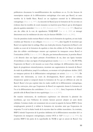 88
publications documente la transdifférenciation des myoblastes en os. Un des facteurs de
transcription majeurs de la différenciation ostéogénique n’est autre que Runx2, un autre
membre de la famille Runx. Runx2 est un régulateur essentiel de la différenciation
ostéogénique (Ducy et al, 1997). La nécessité de Runx2 pour la formation de l’os est mise en
évidence dans les modèles de souris mutantes ou inactivées pour Runx2, qui ne développent
plus de squelette minéralisé (Choi et al, 2001; Komori et al, 1997; Otto et al, 1997). Runx2 est
une des cibles de la voie de signalisation TGFβ/BMP (Lee et al, 2000) et interagit
directement avec les médiateurs de cette voie, les facteurs SMADs (Zaidi et al, 2002).
Une des premières études mettant Runx1 en lien avec la formation du squelette, est une étude
conduite par Simeone et ses collègues (Simeone et al, 1995), dans laquelle ils montrent que
Runx1 est exprimé dans le cartilage. Dans une étude plus récente, l’expression de Runx1 a été
étudiée au cours de la formation du squelette et dans des cellules de l’os. Runx1 est détecté
dans des cellules ostéoblastiques matures qui expriment les marqueurs osseux Runx2 et
l’ostéocalcine (OCN) (Lian et al, 2003). De plus, par immunofluorescence, la protéine Runx1
a été détectée dans une lignée primaire d’ostéoblastes de rat, dans une lignée humaine
d’ostéoblastes et dans une lignée d’ostéoprogéniteurs murins (Lian et al, 2003). Par RT-PCR,
l’expression de Runx1 a été mesurée au cours d’une cinétique de différenciation dans une
lignée de progéniteurs mésenchymateux, montrant une augmentation du transcrit de Runx1
du stade de prolifération, jusqu’à la confluence, au moment où la phosphatase alcaline (ALP,
un marqueur précoce de la différenciation ostéogénique) est activée (Lian et al, 2003). De
manière très intéressante, au cours du développement, Runx1 présente un schéma
d’expression spatial et temporel durant la formation de l’os qui est différent de celui de
Runx2. Runx1 n’est pas exprimé dans les stades tardifs de la différenciation ostéogénique,
dans les ostéocytes, alors que l’expression de Runx2 est augmentée durant la formation de
l’os et la différenciation des ostéoblastes (Banerjee et al, 2001). Ainsi, l’expression de Runx1
précède celle de Runx2 dans le tissu squelettique (Lian et al, 2003).
De manière intéressante, de nombreuses expériences ont démontré la plasticité des
myoblastes, qui sous l’influence de certains facteurs peuvent adopter un autre destin
cellulaire. Certaines études ont notamment mis en avant la capacité du facteur BMP-2 (bone
morphogenetic protein-2) à inhiber la formation de myotubes ainsi que l’expression de
troponine T et de la chaîne lourde de la myosine dans les cellules musculaires. Au contraire,
BMP-2 stimule l’expression de la protéine inhibitrice de la différenciation musculaire Id-1 et
l’expression de marqueurs ostéogéniques, comme OCN et ALP (Katagiri et al, 1994). La
protéine BMP-2 fait partie de la superfamille du TGFβ et agit en amont de Runx2. Une
 