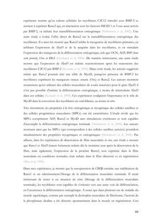 89
expérience montre qu’en culture cellulaire les myoblastes C2C12 stimulés avec BMP-2 se
mettent à exprimer Runx2 qui, en interaction avec les facteurs SMAD 1 et 5 eux aussi activés
par BMP-2, va induire leur transdifférenciation ostéogénique (Nishimura et al, 2002). Une
autre étude a évalué l’effet direct de Runx2 sur la transdifférenciation ostéogénique des
myoblastes. Il a ainsi été montré que Runx2 inhibe la myogenèse de myoblastes primaires, en
inhibant l’expression de MyoD et de la myogénine dans les myoblastes, et en stimulant
l’expression des marqueurs de la différenciation ostéogénique, tels que OCN, ALP, BSP (bone
sialo protein), Osx et Dlx5 (Gersbach et al, 2004). De manière intéressante, une autre étude
montre que l’expression de MyoD est induite transitoirement après les traitements des
myoblastes C2C12 par BMP-2 (Komaki et al, 2004). Dans cette étude, les auteurs suggèrent
même que Runx2 pourrait être une cible de MyoD, puisqu’en présence de BMP-2 les
myoblastes expriment les marqueurs osseux osterix (Osx) et Runx2. Les auteurs montrent
notamment qu’en utilisant des cellules musculaires de souris inactivées pour le gène MyoD, il
n’est pas possible d’induire la différenciation ostéogénique, à moins de réintroduire MyoD
dans ces cellules (Komaki et al, 2004). Ces expériences soulignent l’importance et le rôle de
MyoD dans la conversion des myoblastes en ostéoblastes, au moins in vitro.
Très récemment, les propriétés à la fois ostéogénique et myogénique des cellules satellites et
des cellules progénitrices musculaires (MPCs) ont été caractérisées. L’étude révèle que les
MPCs coexpriment ALP, Runx2 et MyoD sans stimulations extérieures et sont capables
d’accomplir la différenciation ostéogénique terminale (Hashimoto et al, 2008). Les auteurs
montrent ainsi que les MPCs (qui correspondent à des cellules satellites activées) possèdent
simultanément des propriétés myogéniques et ostéogéniques (Hashimoto et al, 2008). Par
ailleurs, dans les expériences de dénervation de fibre musculaire in vivo, une étude a montré
que Runx1 et MyoD étaient fortement induits dès le troisième jour après la dénervation de la
fibre, mais également, l’expression de la protéine Runx2, non exprimée dans la fibre
musculaire en conditions normales, était induite dans la fibre dénervée et en régénération
(Zhu et al, 1994).
Dans mes expériences, je montre que la surexpression de CBFβ entraîne une stabilisation de
Runx1 et un ralentissement/blocage de la différenciation musculaire terminale. Il serait
intéressant de tester si en situation de crise (blocage de la différenciation musculaire
terminale), les myoblastes sont capables de s’orienter vers une autre voie de différenciation,
en l’occurrence la différenciation ostéogénique. À noter que dans plusieurs cas de maladie du
muscle squelettique, comme par exemple la dystrophie musculaire de Duchenne, l’activité de
la phosphatase alcaline a été détectée spontanément dans le muscle en régénération. Ceci
 