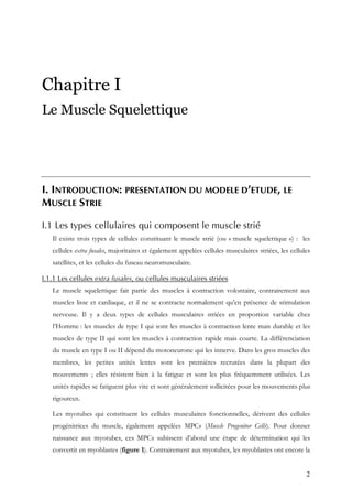 2
Chapitre I
Le Muscle Squelettique
I. INTRODUCTION: PRESENTATION DU MODELE D’ETUDE, LE
MUSCLE STRIE
I.1 Les types cellulaires qui composent le muscle strié
Il existe trois types de cellules constituant le muscle strié (ou « muscle squelettique ») : les
cellules extra fusales, majoritaires et également appelées cellules musculaires striées, les cellules
satellites, et les cellules du fuseau neuromusculaire.
I.1.1 Les cellules extra fusales, ou cellules musculaires striées
Le muscle squelettique fait partie des muscles à contraction volontaire, contrairement aux
muscles lisse et cardiaque, et il ne se contracte normalement qu’en présence de stimulation
nerveuse. Il y a deux types de cellules musculaires striées en proportion variable chez
l’Homme : les muscles de type I qui sont les muscles à contraction lente mais durable et les
muscles de type II qui sont les muscles à contraction rapide mais courte. La différenciation
du muscle en type I ou II dépend du motoneurone qui les innerve. Dans les gros muscles des
membres, les petites unités lentes sont les premières recrutées dans la plupart des
mouvements ; elles résistent bien à la fatigue et sont les plus fréquemment utilisées. Les
unités rapides se fatiguent plus vite et sont généralement sollicitées pour les mouvements plus
rigoureux.
Les myotubes qui constituent les cellules musculaires fonctionnelles, dérivent des cellules
progénitrices du muscle, également appelées MPCs (Muscle Progenitor Cells). Pour donner
naissance aux myotubes, ces MPCs subissent d’abord une étape de détermination qui les
convertit en myoblastes (figure 1). Contrairement aux myotubes, les myoblastes ont encore la
 